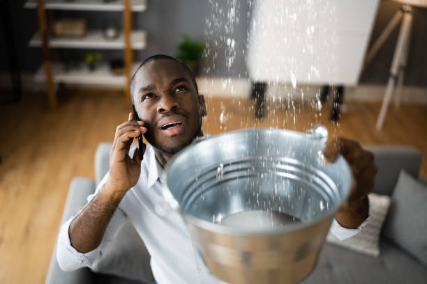 Best Carpet water damage restoration  in Haverford College, PA