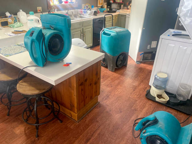 Best Mold removal after water damage  in Haverford College, PA