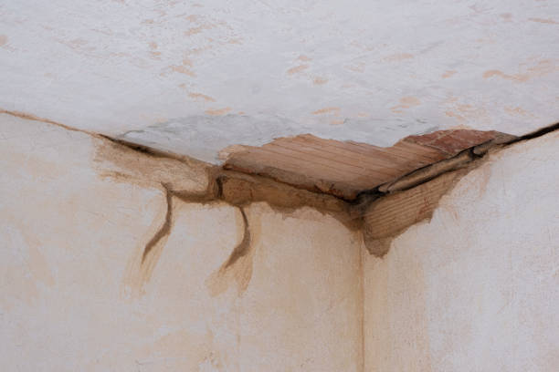 Best Local water damage restoration  in Haverford College, PA
