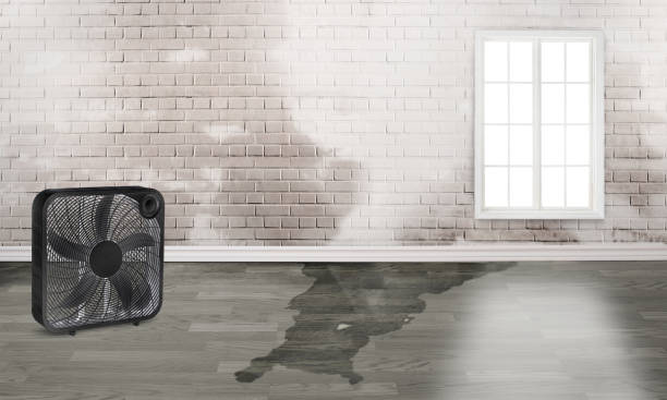 Best Sewage cleanup and water damage restoration  in Haverford College, PA