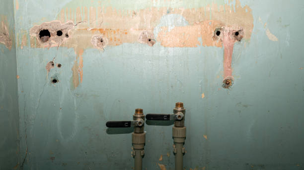 Best 24-hour water damage restoration  in Haverford College, PA