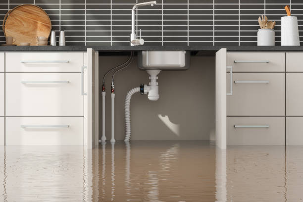 Best Flood restoration services  in Haverford College, PA