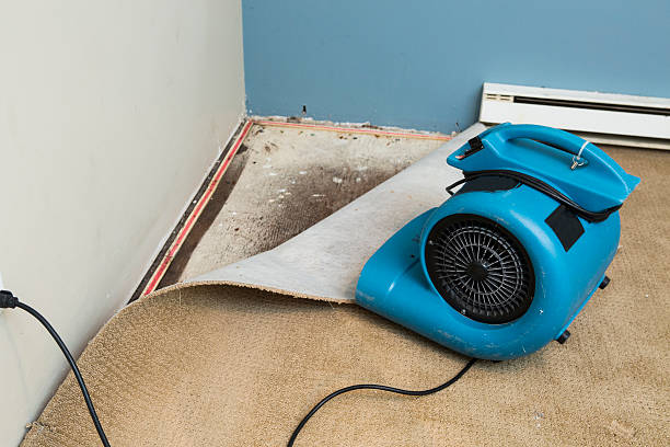 Best Professional water damage repair  in Haverford College, PA